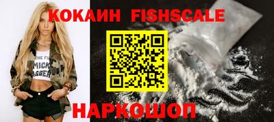 шишки Изобильный
