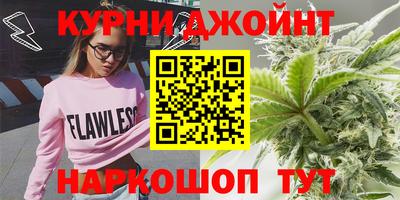 прущие грибы Канаш