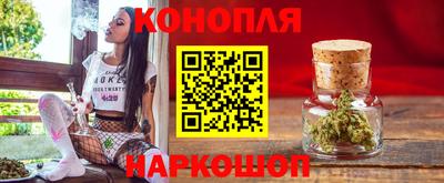 шишки Изобильный