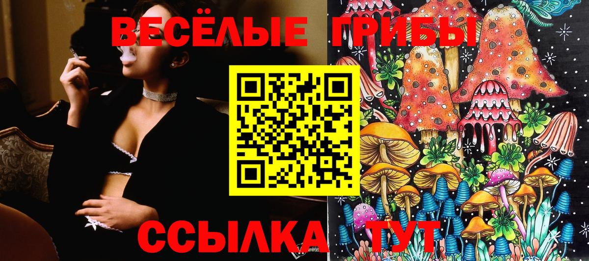 Псилоцибиновые грибы Magic Shrooms  Вход с VPN  Москва 