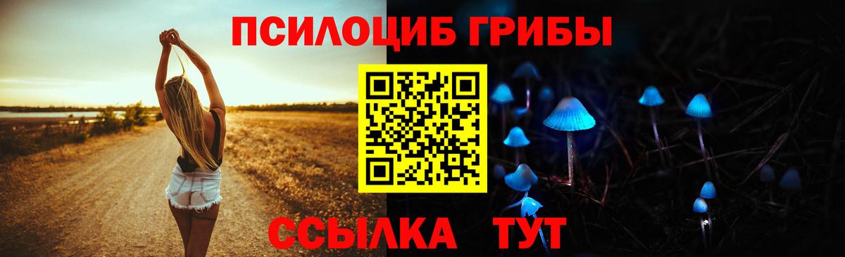 Галлюциногенные грибы Magic Shrooms Москва